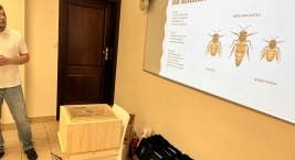 Widok na tablicę z prezentacją Jak dzielimy pszczółki